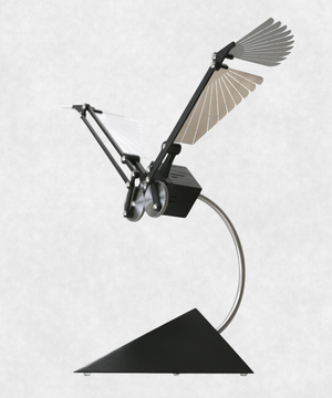 Aquila SE Silver - By Lukas Schilling