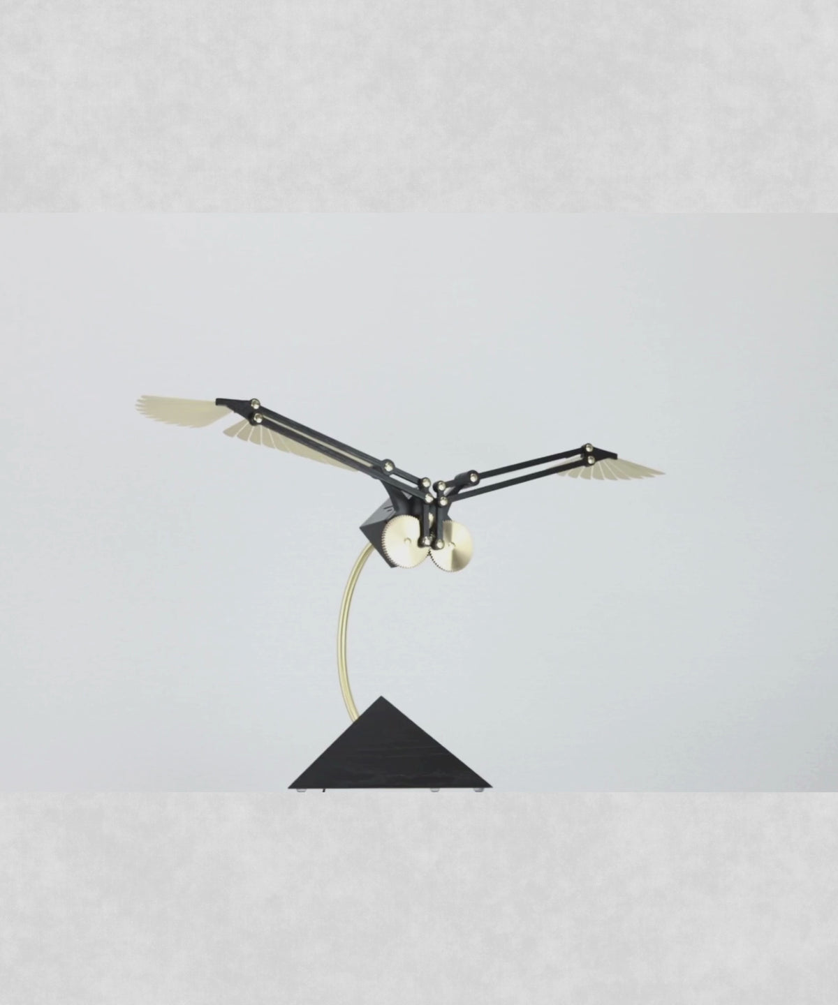 Aquila SE Gold Video