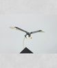 Aquila SE Gold Video